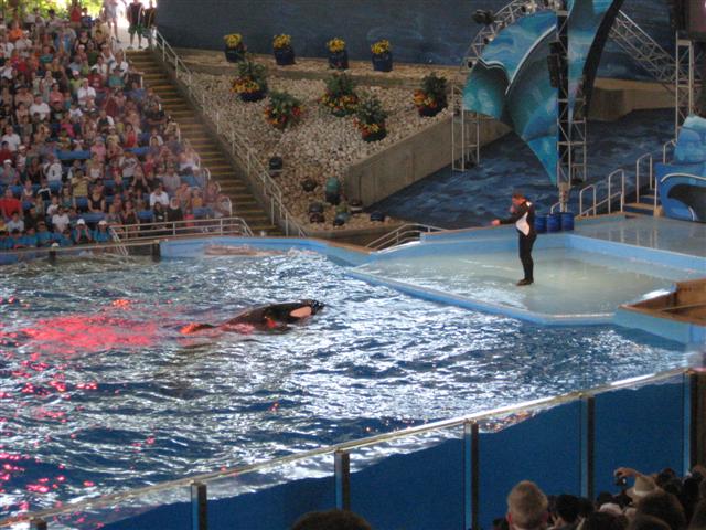 618x457 pixels (74K)