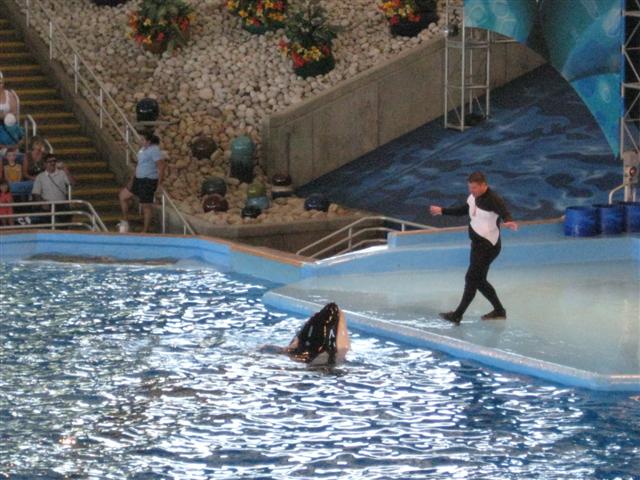 618x457 pixels (71K)