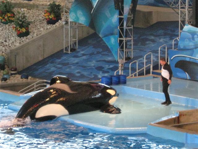 618x457 pixels (59K)