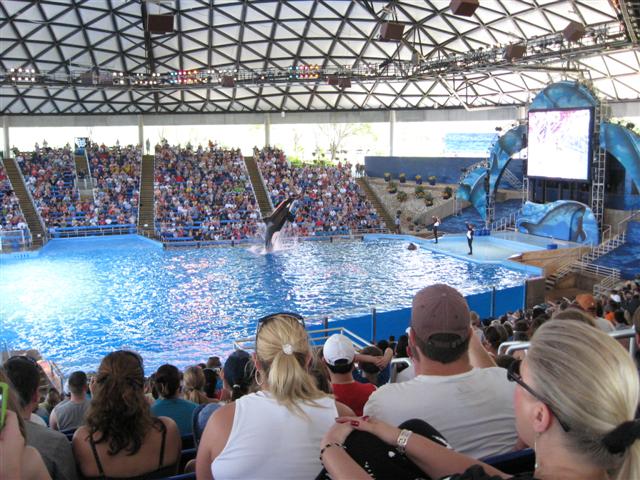 618x457 pixels (87K)