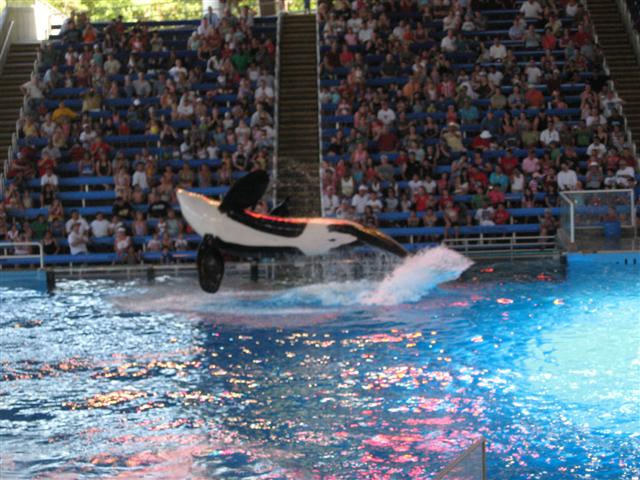 618x457 pixels (74K)