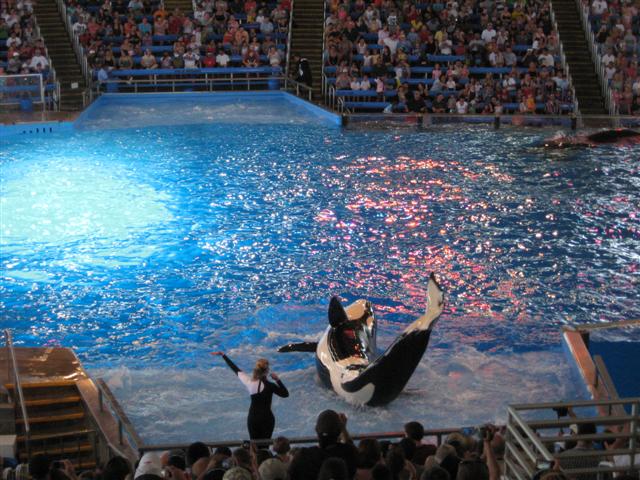 618x457 pixels (82K)