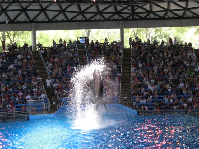 618x457 pixels (75K)