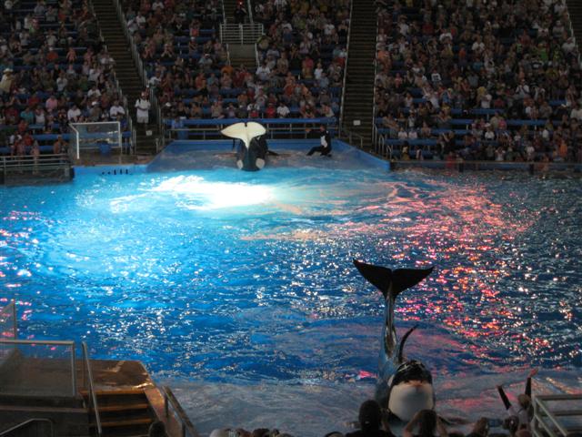 618x457 pixels (76K)