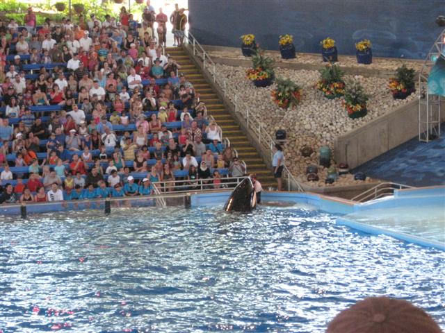 618x457 pixels (84K)