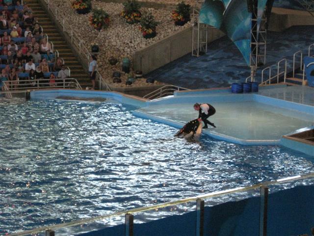 618x457 pixels (75K)