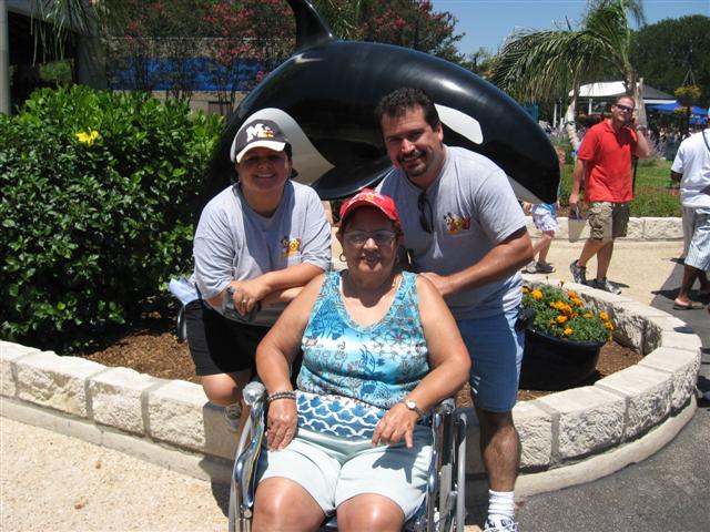 618x457 pixels (80K)