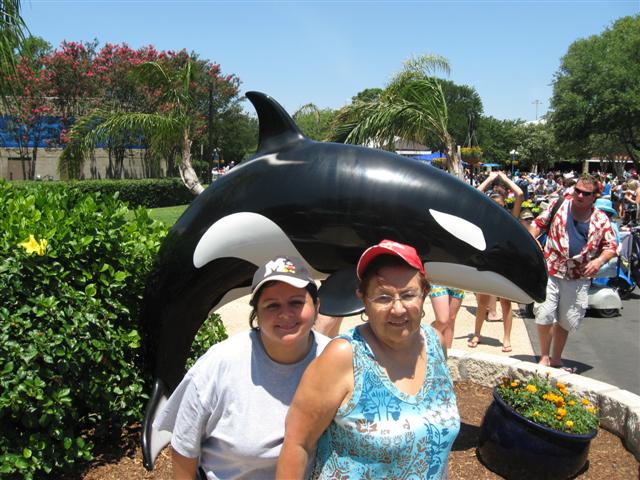 618x457 pixels (78K)