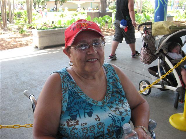 618x457 pixels (65K)