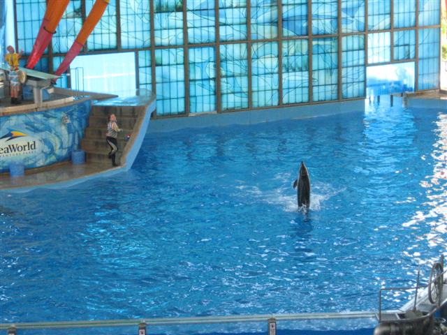 618x457 pixels (71K)