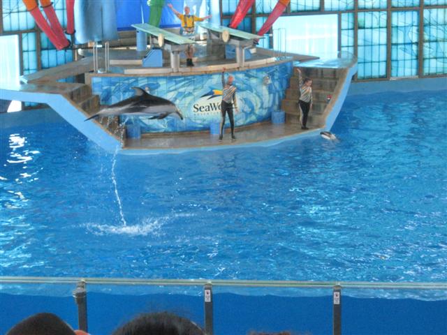 618x457 pixels (62K)