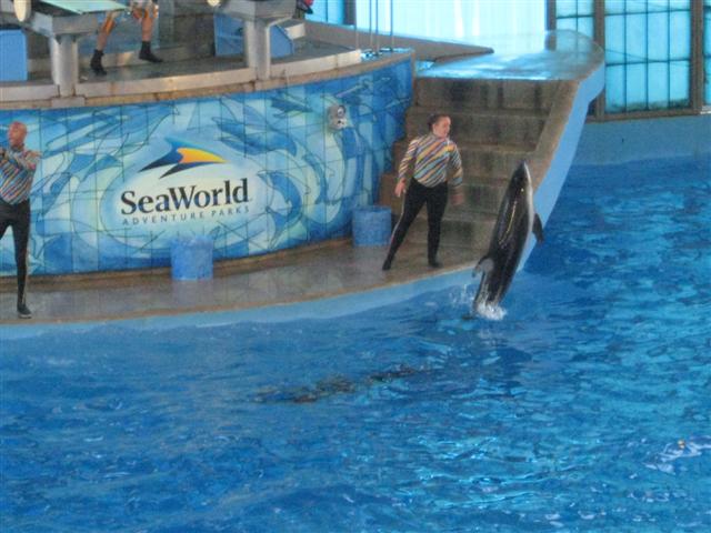 618x457 pixels (56K)