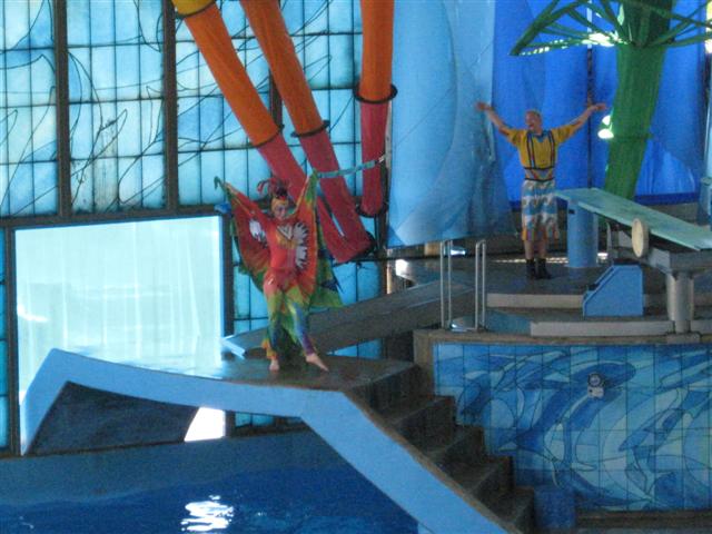 618x457 pixels (58K)