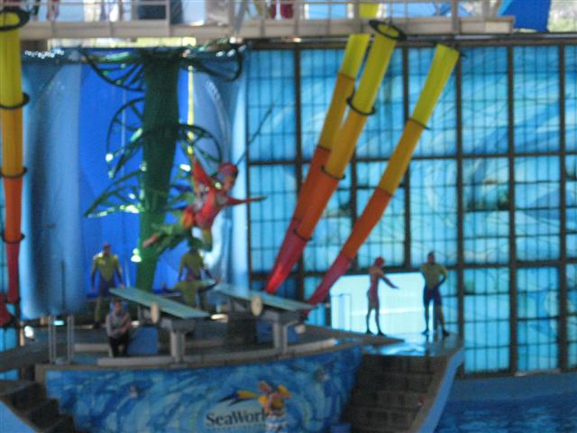 618x457 pixels (57K)