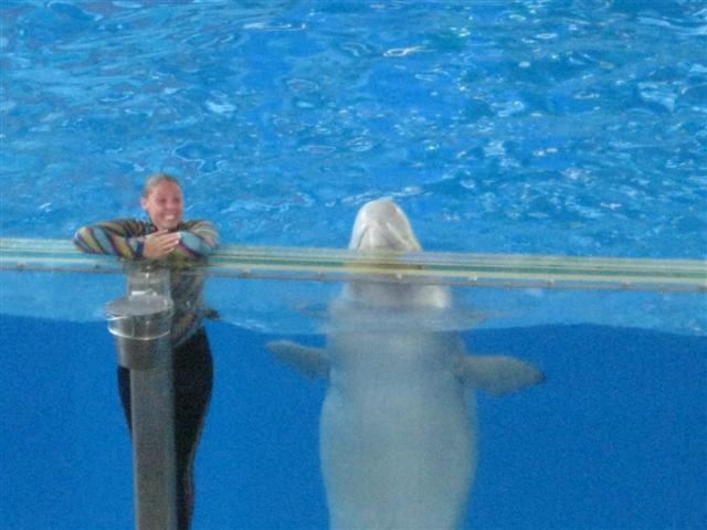 618x457 pixels (45K)