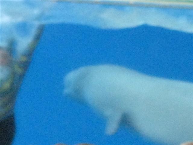 618x457 pixels (33K)