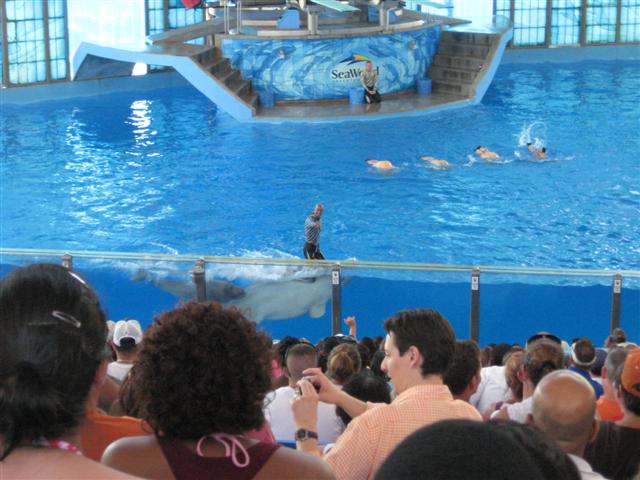 618x457 pixels (59K)