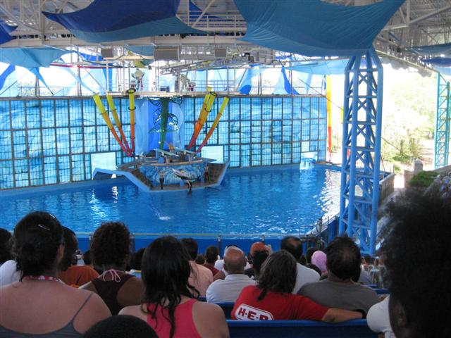 618x457 pixels (69K)