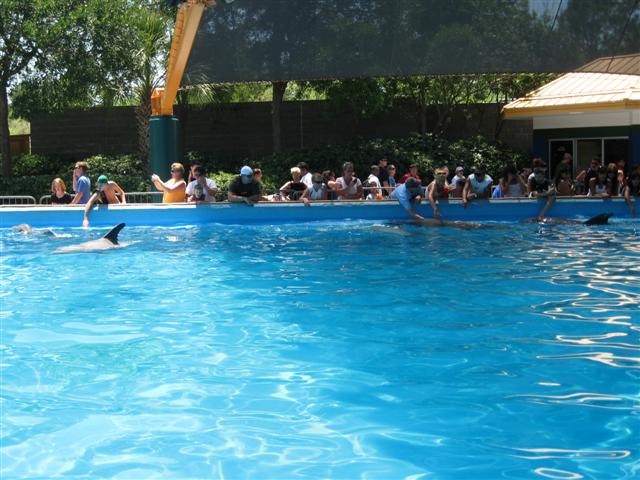 618x457 pixels (64K)