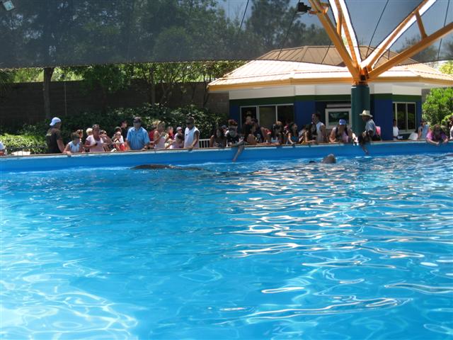 618x457 pixels (68K)