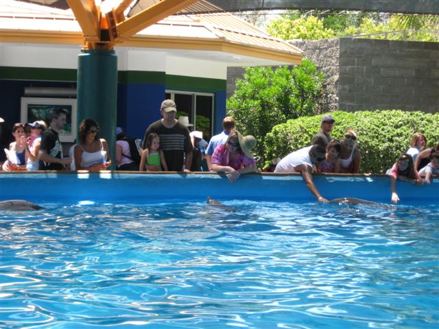 618x457 pixels (76K)