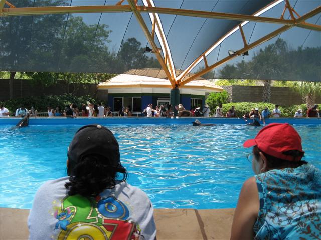 618x457 pixels (70K)