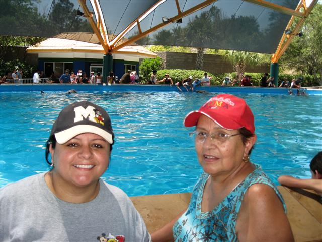 618x457 pixels (72K)