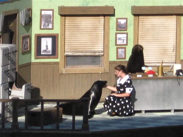 618x457 pixels (51K)