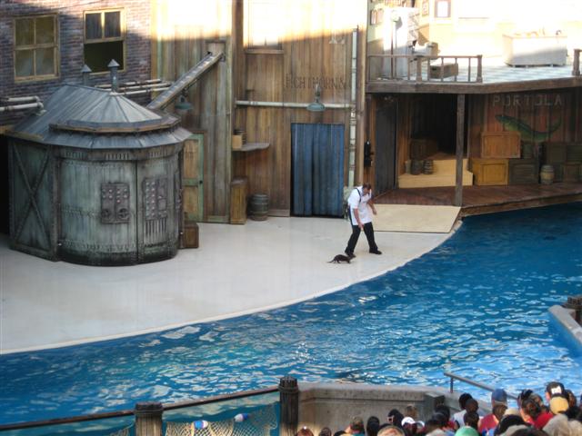 618x457 pixels (59K)