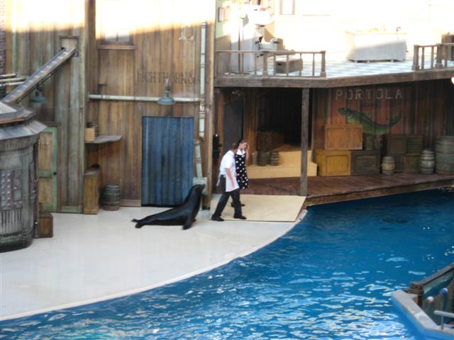 618x457 pixels (52K)