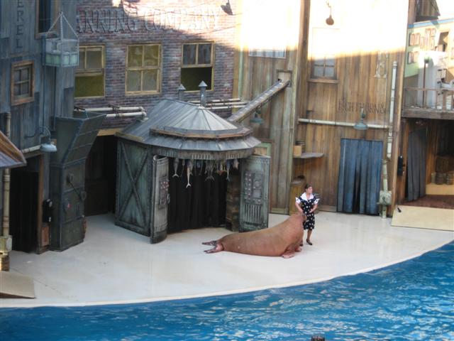 618x457 pixels (53K)