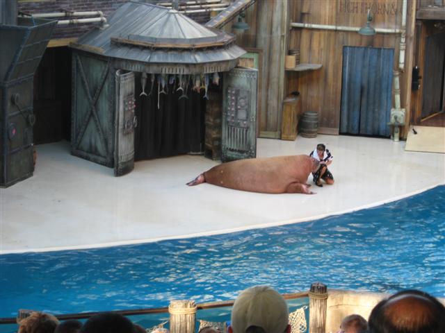 618x457 pixels (51K)