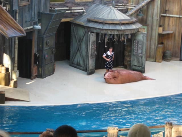 618x457 pixels (50K)