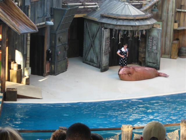 618x457 pixels (53K)