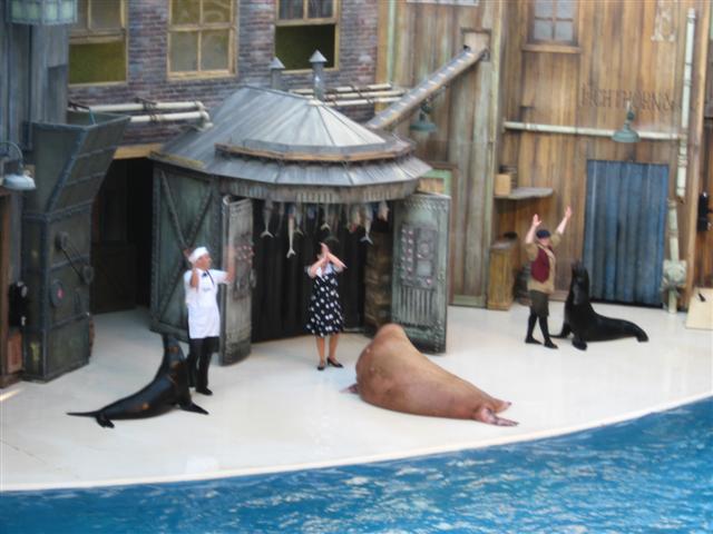 618x457 pixels (50K)