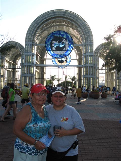 458x617 pixels (62K)