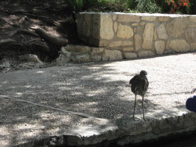 618x457 pixels (68K)