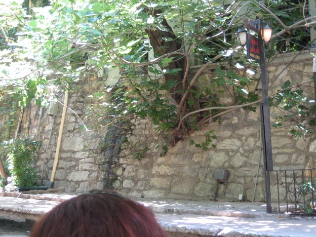 618x457 pixels (80K)