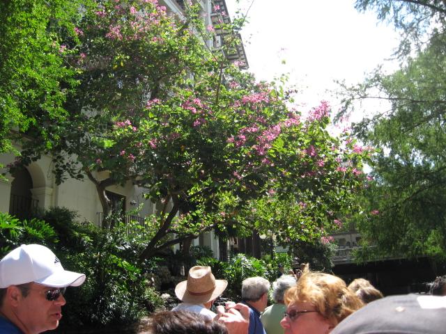 618x457 pixels (95K)