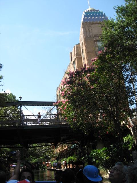 458x617 pixels (64K)