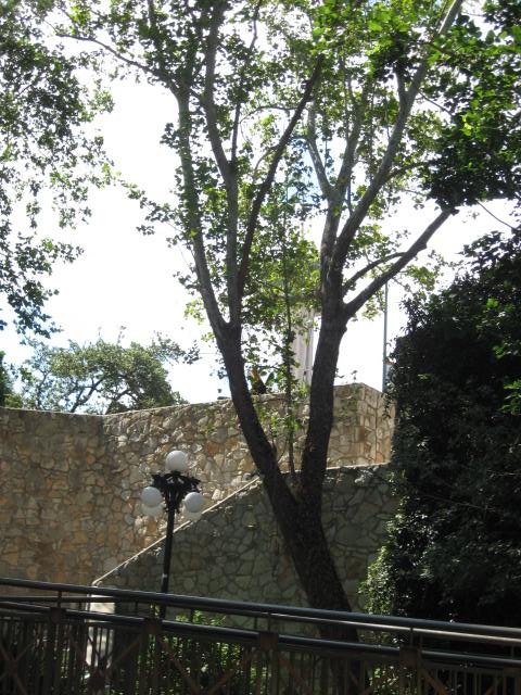 458x617 pixels (92K)