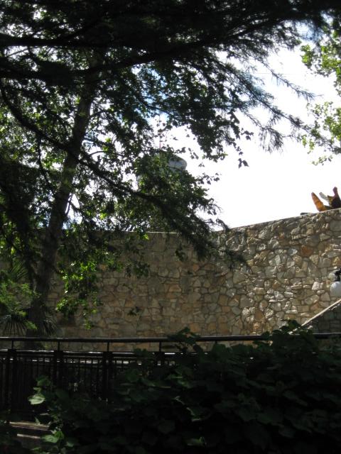 458x617 pixels (72K)