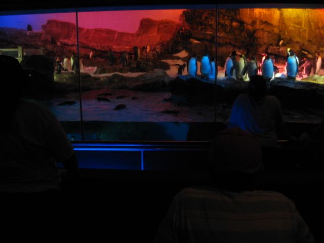 618x457 pixels (30K)