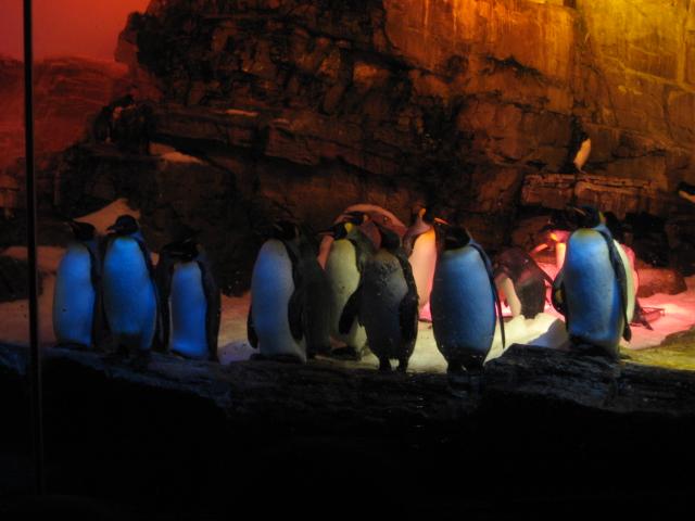 618x457 pixels (39K)