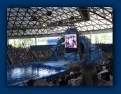                                                                                                                                                                                                                                                                