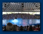                                                                                                                                                                                                                                                                