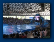                                                                                                                                                                                                                                                                