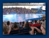                                                                                                                                                                                                                                                                