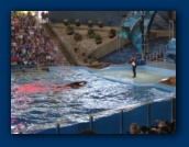                                                                                                                                                                                                                                                                