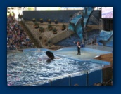                                                                                                                                                                                                                                                                